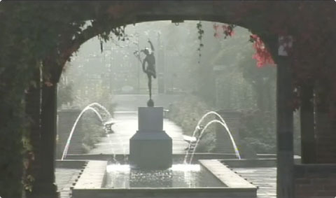 link image to the Alan Birkin video